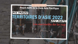 Ifs Territoires Dasie Thumbnail Fr
