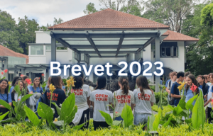 Ifs Brevet 2023