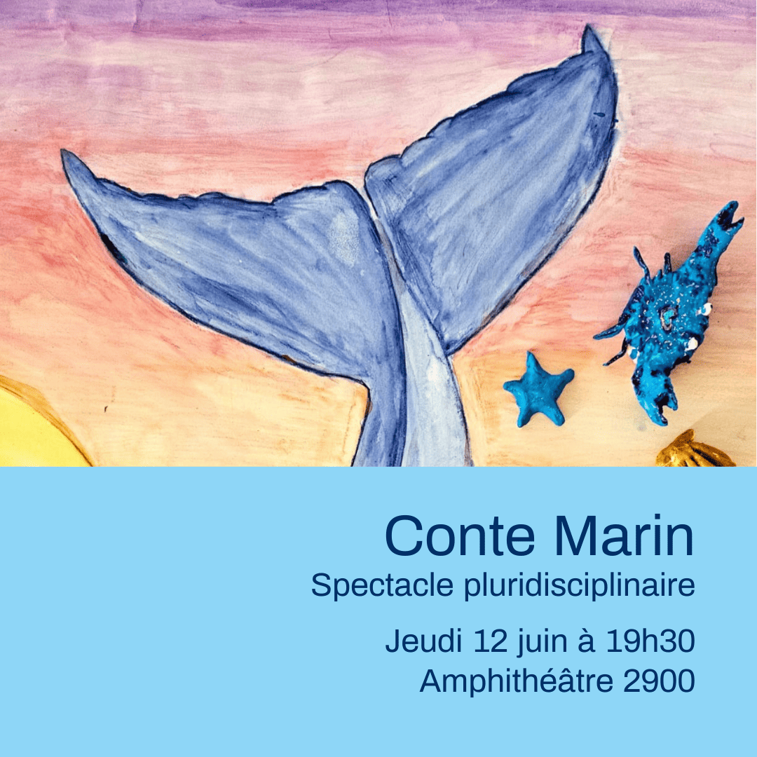 Conte Marin Web Thumnail