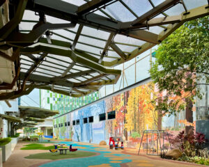 New Kindergarten IFS