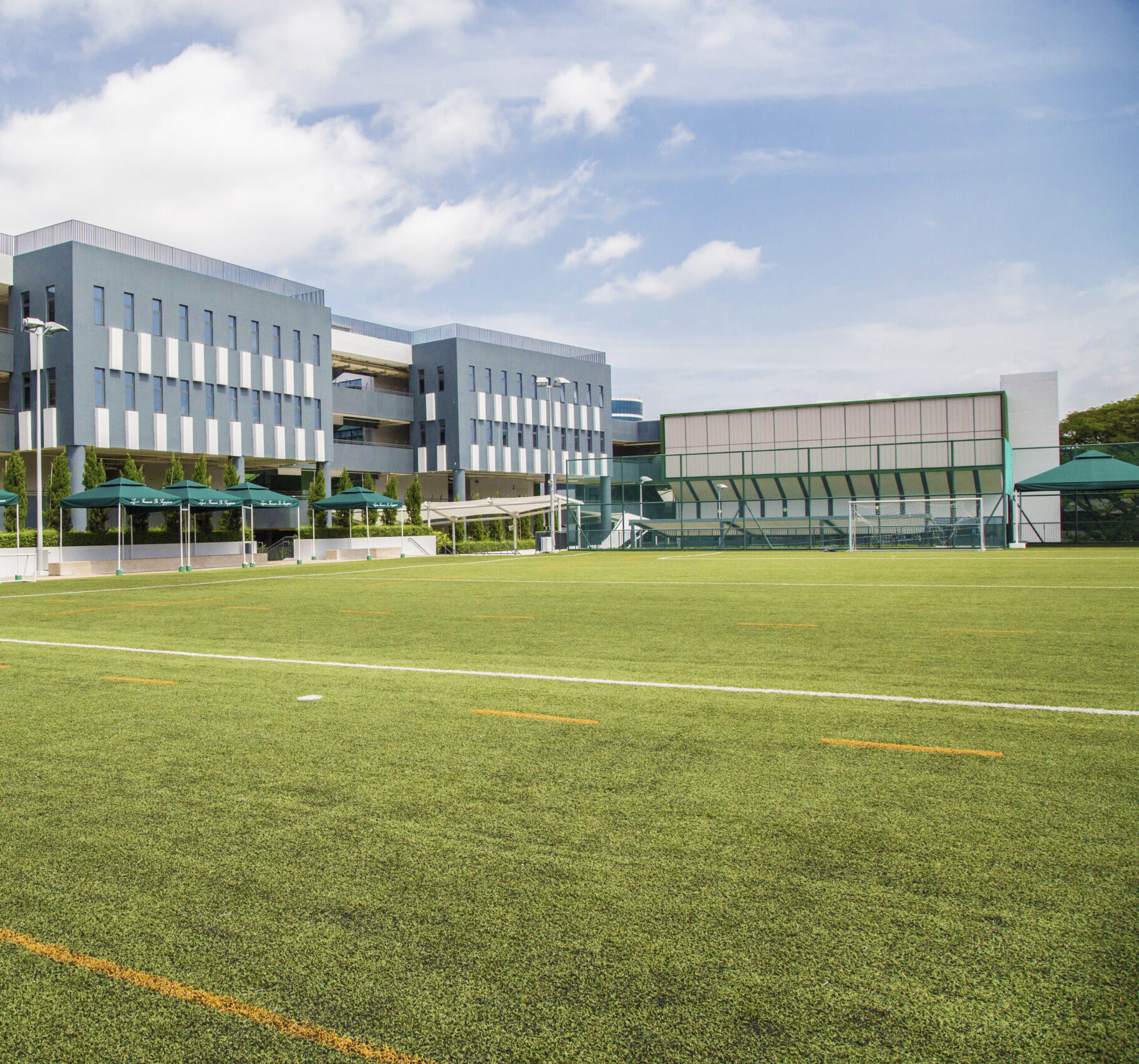 2900 Astro Turf