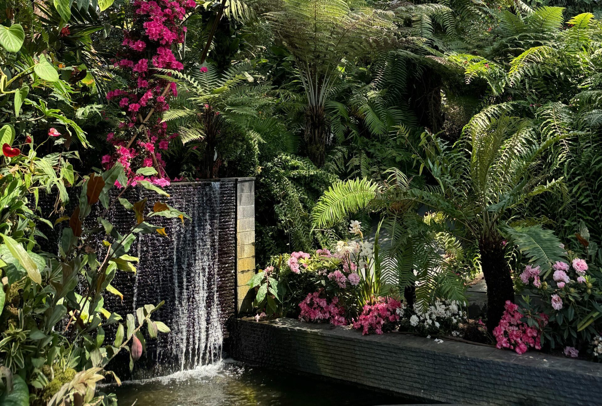 Pexels Petra Nesti 1766376 23354466