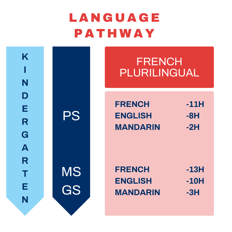 IFS KG Language Pathway